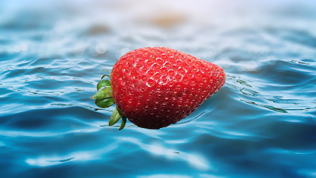 official-german-gaming:Erdbeeren, Feuerbeeren, Luftbeeren, Wasserbeeren.Vor langer Zeit lebten alle 