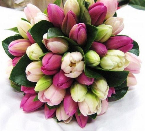 this-odd-in-me:   i would love to have some tulips <3 🌷🌷🌷  