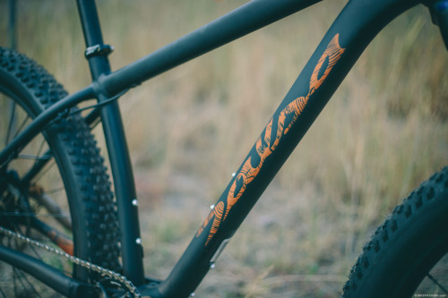 http://www.bikepacking.com/bikes/salsa-timberjack-fargo/