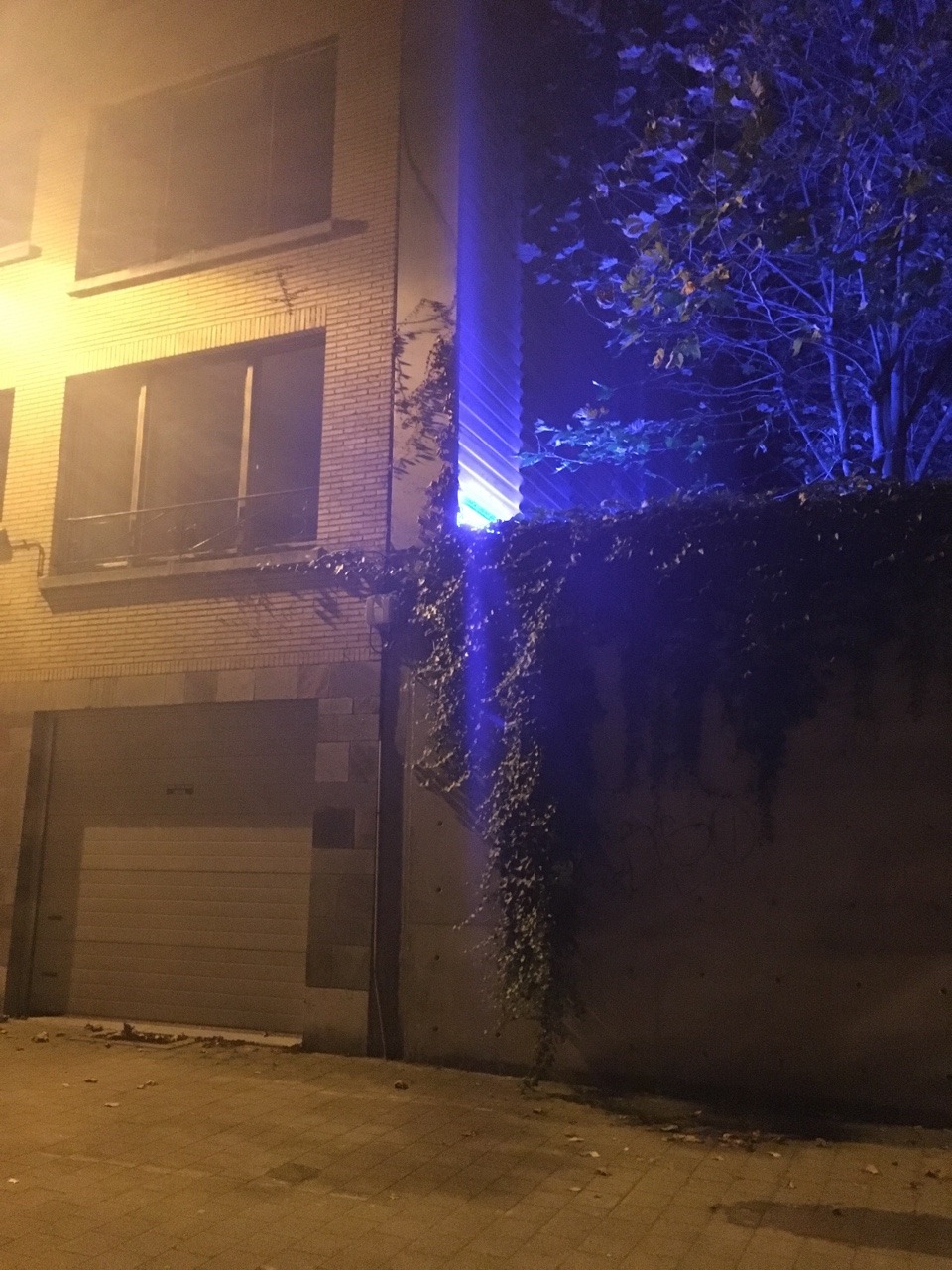 mxdvs:  Antwerp