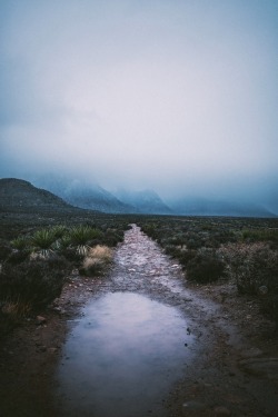 jeremylfisher: Spring Mountains State Park,