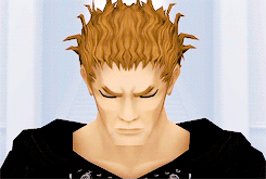 cheriafreya:  Among the members assigned to Castle Oblivion,there are traitors.