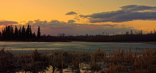 wapiti3:THE SLOWER YOU GO THE BIGGER YOUR WORLD GETS!sunset astotin lakehiking elk island april 2 20