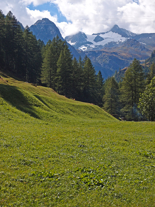 some-places: mountain landscape