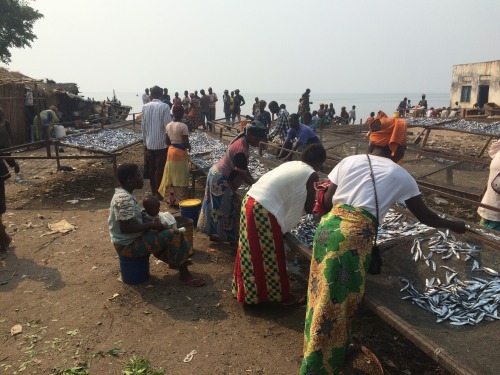 East Congolese Fishermen Denounce Lack of Safety on Lake TanganyikaFishermen on Lake Tanganyika in D