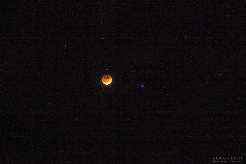 &ldquo;Total Eclipse Starfield&rdquo; photographed by Michael Cuffe. This was the best I cou