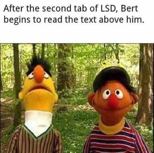 omghotmemes:Bert is just woke