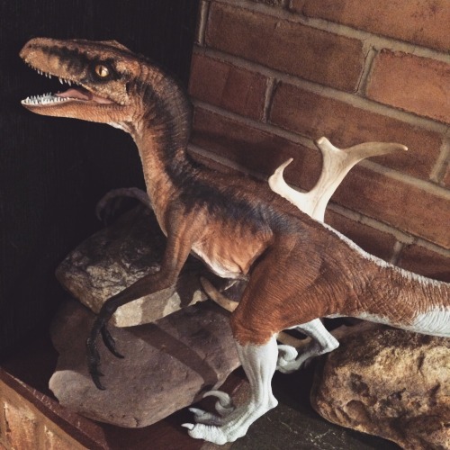 breaisbees: started painting my horizon velociraptor today…I think I like it but I’m no