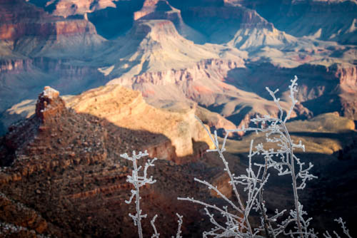 On Feb. 11, 1908, The Grand Canyon was proclaimed a National Monument by Theodore Roosevelt. “Let this great wonder of nature remain as it now is… keep it for your children, your children’s children, and all who come after you, as the one great sight...