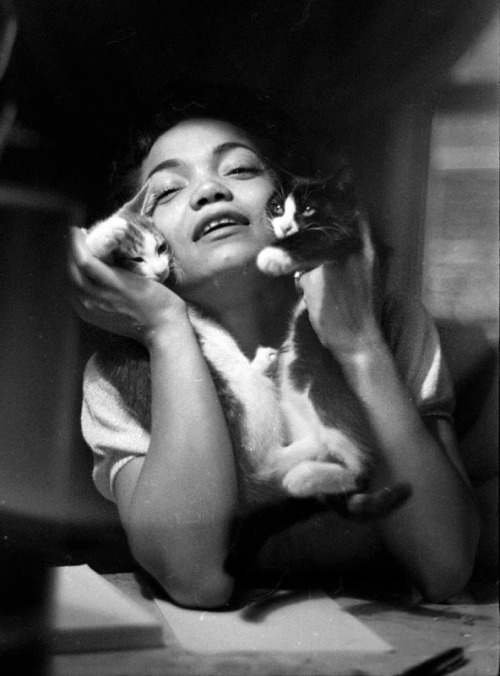 teamgyarados:jamesfranciscagney:Eartha Kitt, and a couple of kittens, photographed by Gordon Parks. 