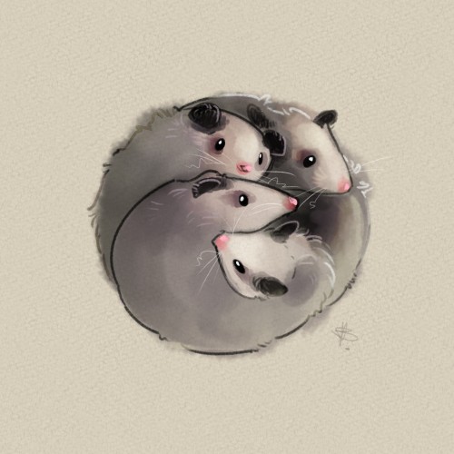 Possum Ball :)