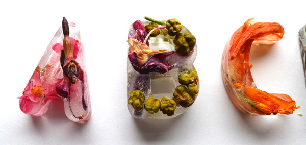kjevangelista:  Botanical Typography Made with Frozen Flowers in Ice by Petra Blahova