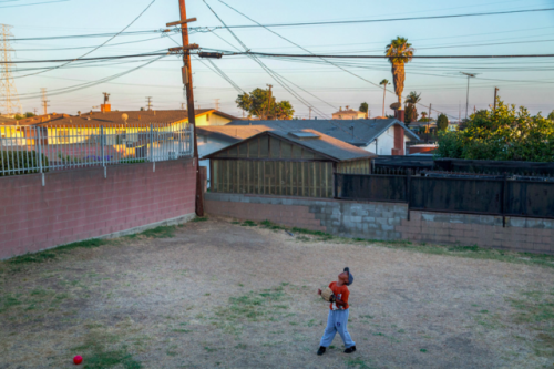 The family backyard, South Los AngelesMonica Almeida