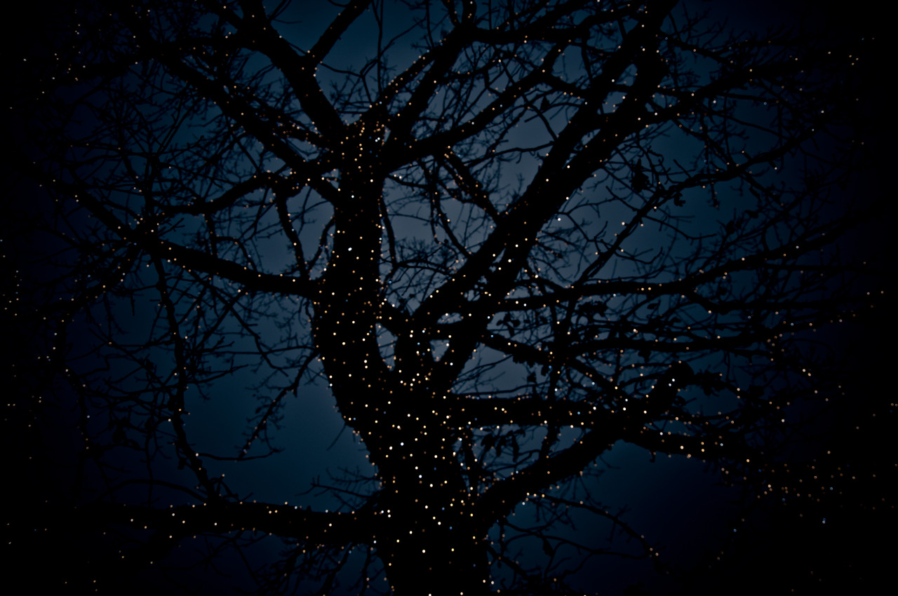 of stars and shadows.