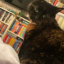 biscuitsposts