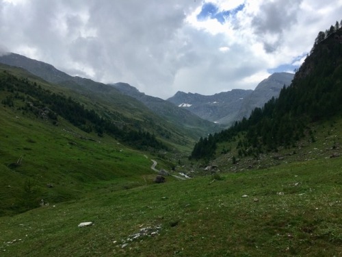 catullan:Alpe d’Mey, Piedmont, Italy ⛰