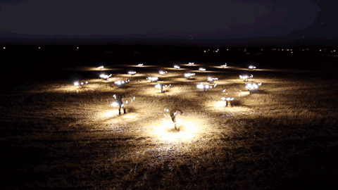 itscolossal:  Artist Erdal Enci Clones Himself to Create Elaborate Choreographed