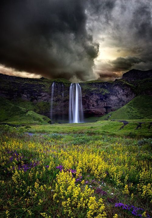 coiour-my-world:Seljalandsfoss Waterfall by Snorri Gunnarsson 