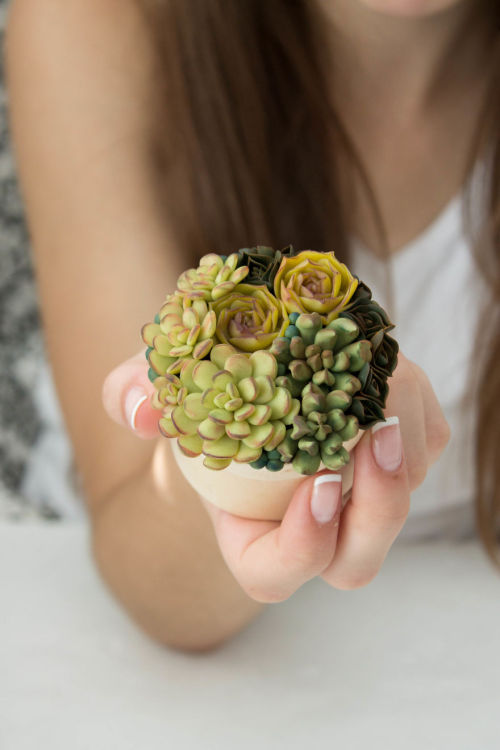 starshine813: toonskribblez: wordsnquotes: Stunning Ring Boxes Look Like Real Life Lush Succulent Pl