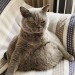 catasters: