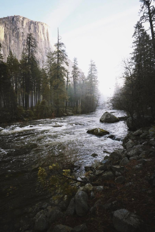 banshy: Yosemite National Park by Blaine Nadeau