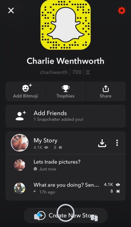 yoursnapchatwhore96:  You can’t post nudes on tumblr ,so all nudes on Snapchat now:(SC:charliwenth  