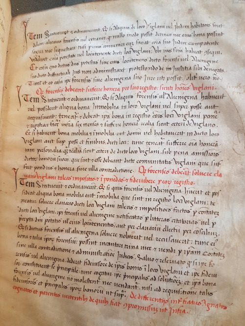 Ms. Codex 55 - Statuta communitatis Viglani edita per homines et communitatem dicti loci Viglani, di