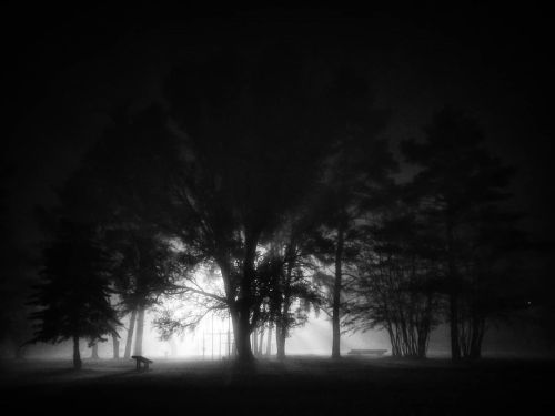 Darknes#lithuania #nature #natural #park #night #dark #lights #fog #mist #shadow #blackandwhite #bnw