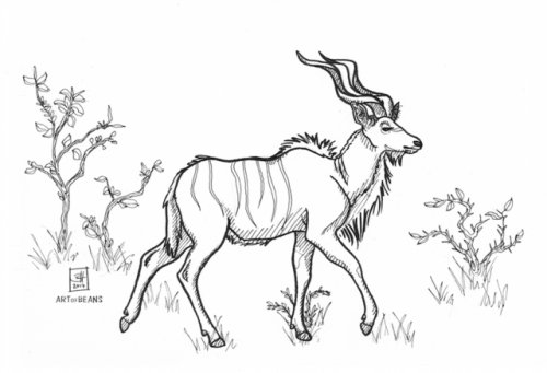 (Belated) day 18: kuduOne of my favorite species of antelope: kudu! Really gorgeous animals and they