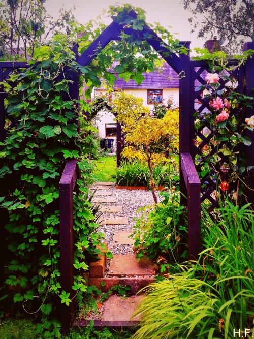 Colour Shot Of Archways In My Boyfriends Garden.