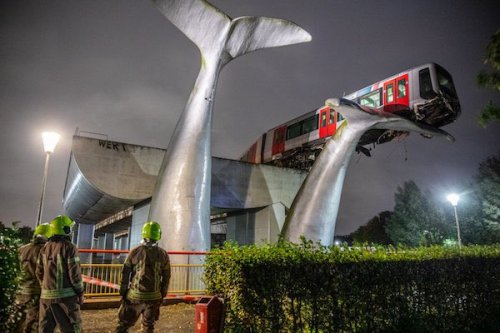 highlandvalley:  高架を走行するロッテルダムのメトロが終点のバリアを突っ切ってしまったんだけど鯨の巨大彫刻に救われる奇跡。真夜中に起こった事故のようで乗客はなく、よかったです。https://twitter.com/Campaign_Otaku/status/1323291588345253890