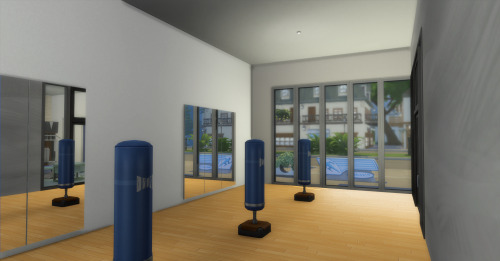 The new gym in Willow Creek. Going through screen shots to find all the builds I haven’t been bloggi
