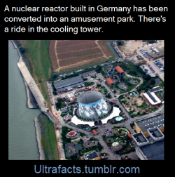 ultrafacts:  The Fast Breeder nuclear reactor