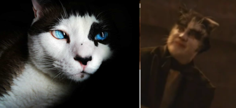 Cats 2019 As Real Cats Caues Why Not.part 4 The Toms And Jenny's Nightmare Kichen