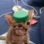 epizazaza