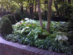 Upper East Side Courtyard rehab and maintenance