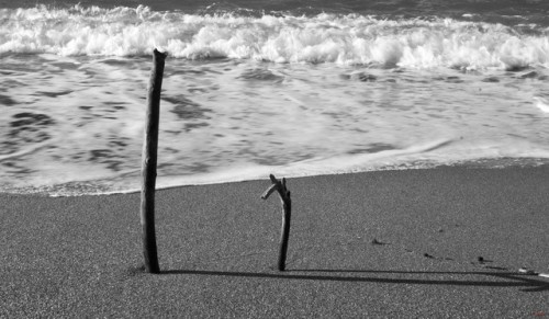 _wet sand_