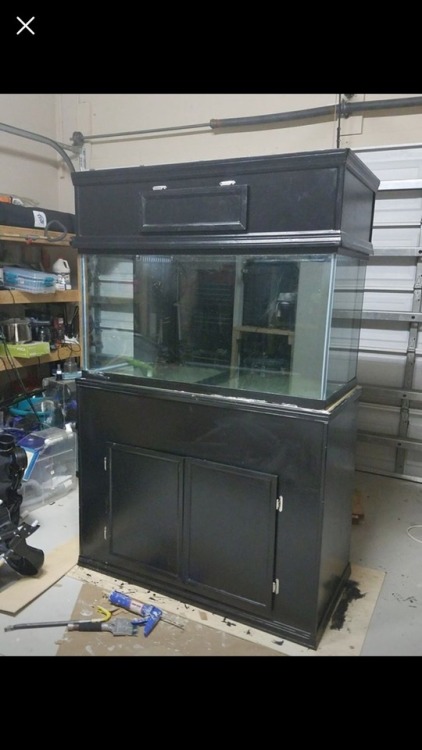 aquasplendens:I recently bought a 120 gallon tank with dual corner overflows. It came with a 40 gall