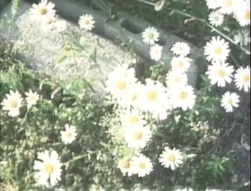 verachytilovas: EMBRACING (1992) dir. Naomi Kawase