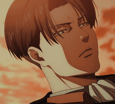 LEVI ACKERMAN The Final Season
