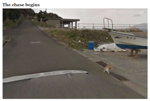 recommend:Dog Ruins Every Frame of Google Street View by Chasing the Camera (x)