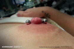 piercingbysaint:  14g Nipple Piercing by Chris Saint with jewelry from @Anatometal  