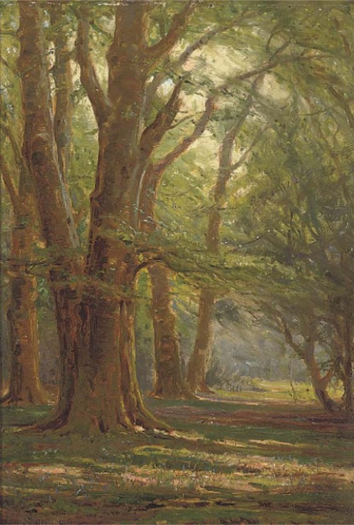 A sunlit forest,Frederick Golden Short.English (1863 - 1936)