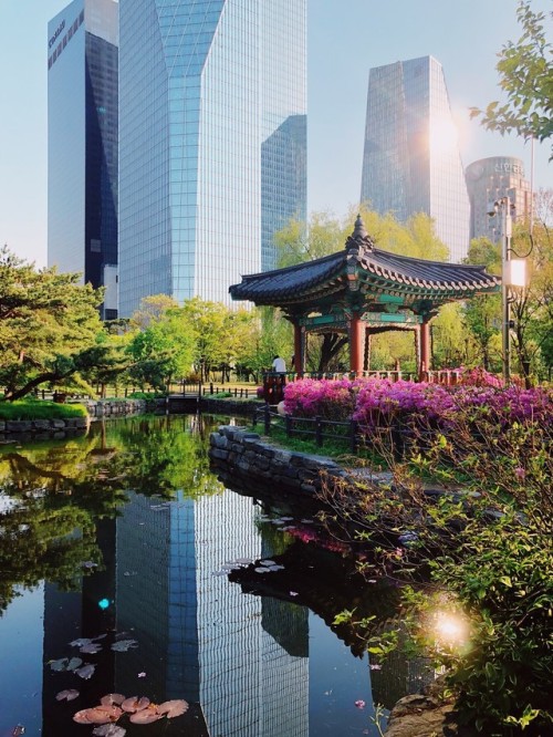 Water, wood, azaleas, glass and steel.Yeouido Park, Seoul