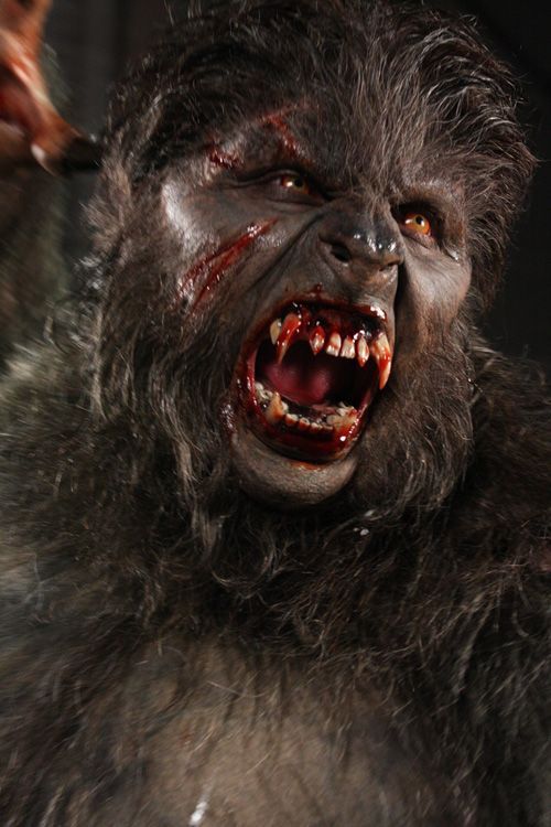A couple of shots of werewolves from “Lobos de Arga” (2011). #WerewolfWednesday Nothing 