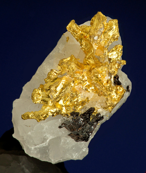 Native Gold with Sphalerite on Quartz - Mariposa County, California