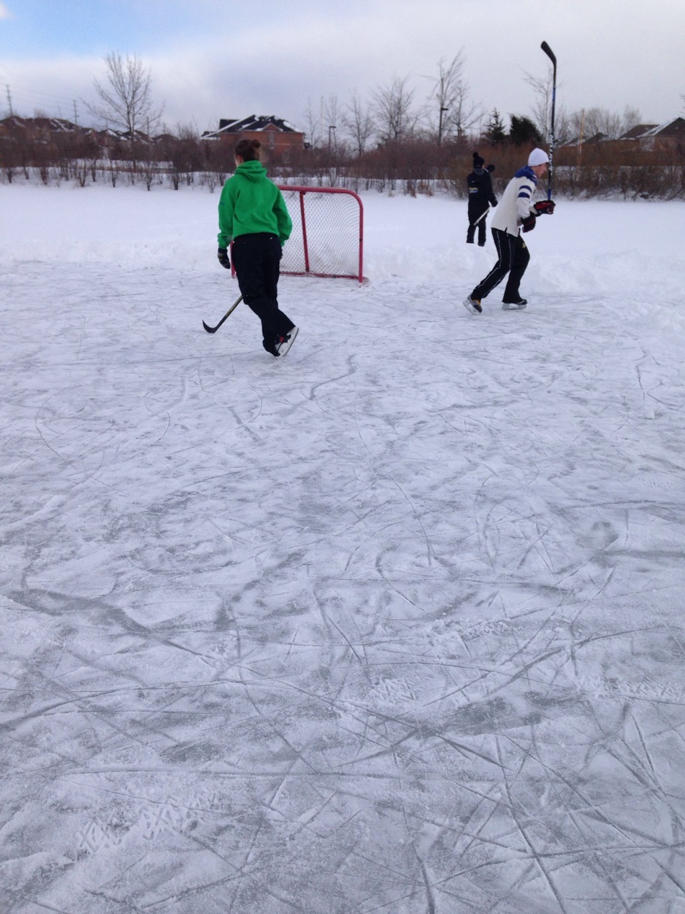Yes, Canadians actually play pond hockey.