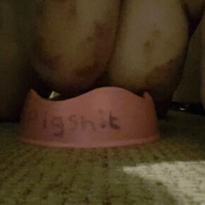 pigshit001:  Dumb dumb piggy doesn’t know how to wash its fat udders in its piss