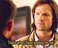  “I’m a grunt, Sam. You’re not.” 