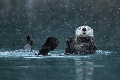 nubbsgalore: photos by dennis binda, mike segar, orsolya and erlend haarberg, roeselien ra